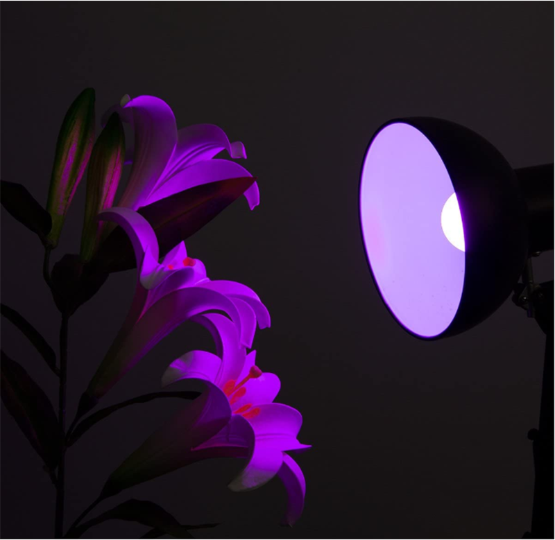 E27 DC12 5050RGB Multi-Color Energy-saving LED Bulb Light Kit Change Color With Remote E27 Large Screw Mouth Car Aluminum Bulb E27 DC12 5050RGB Multi-Color Energy-saving LED Bulb Light Kit Change Color With Remote E27 Large Screw Mouth Car Aluminum Bulb